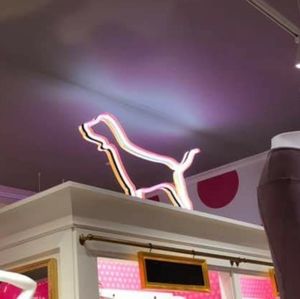 NFS ISO vs pink dog neon